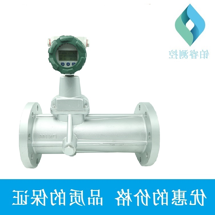 旋进漩涡流量计